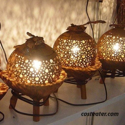 Coconate Lamp